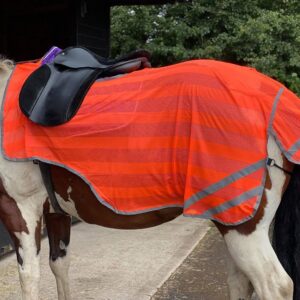 REFLEX HIND EXERCISE SHEET HI VIZ QUARTER SHEET